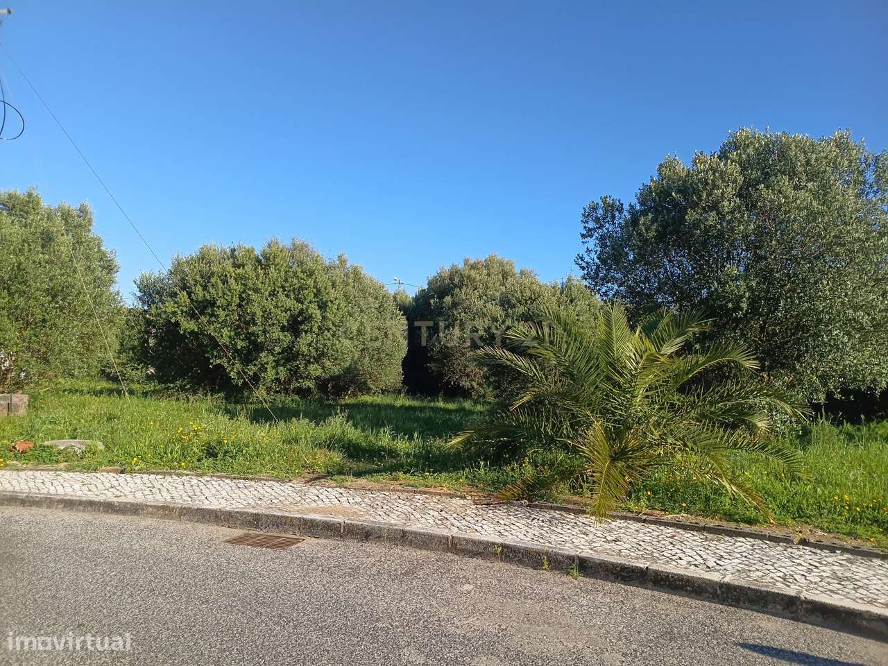 Excelente oportunidade de investimento com 350m2-9