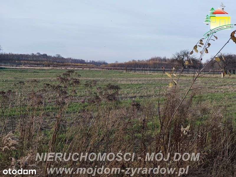 Działki budowlane w Korytowie, polecamy :) - Pełny obrazek: 4/7