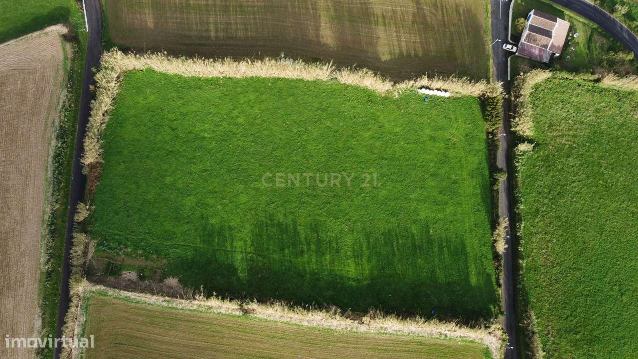 Terreno com 9.500 m² – Vista Mar Deslumbrante e Potencial de Urbanizaç - Grande imagem: 5/5