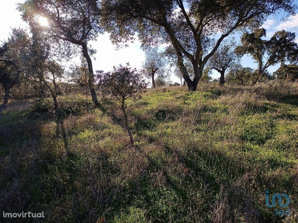 Terreno Agrícola em Portalegre de 10000,00 m2