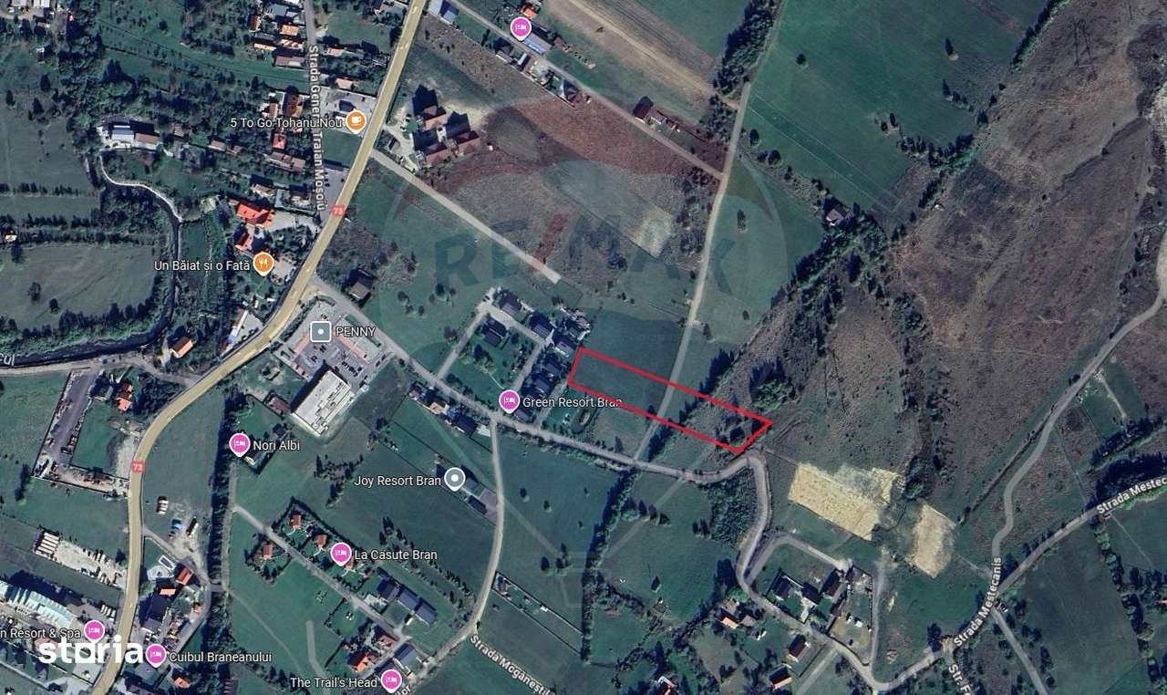 Comision 0% | Oportunitate de investiție | Tohanu Nou–Bran | Utilități - Imagine principală: 4/9