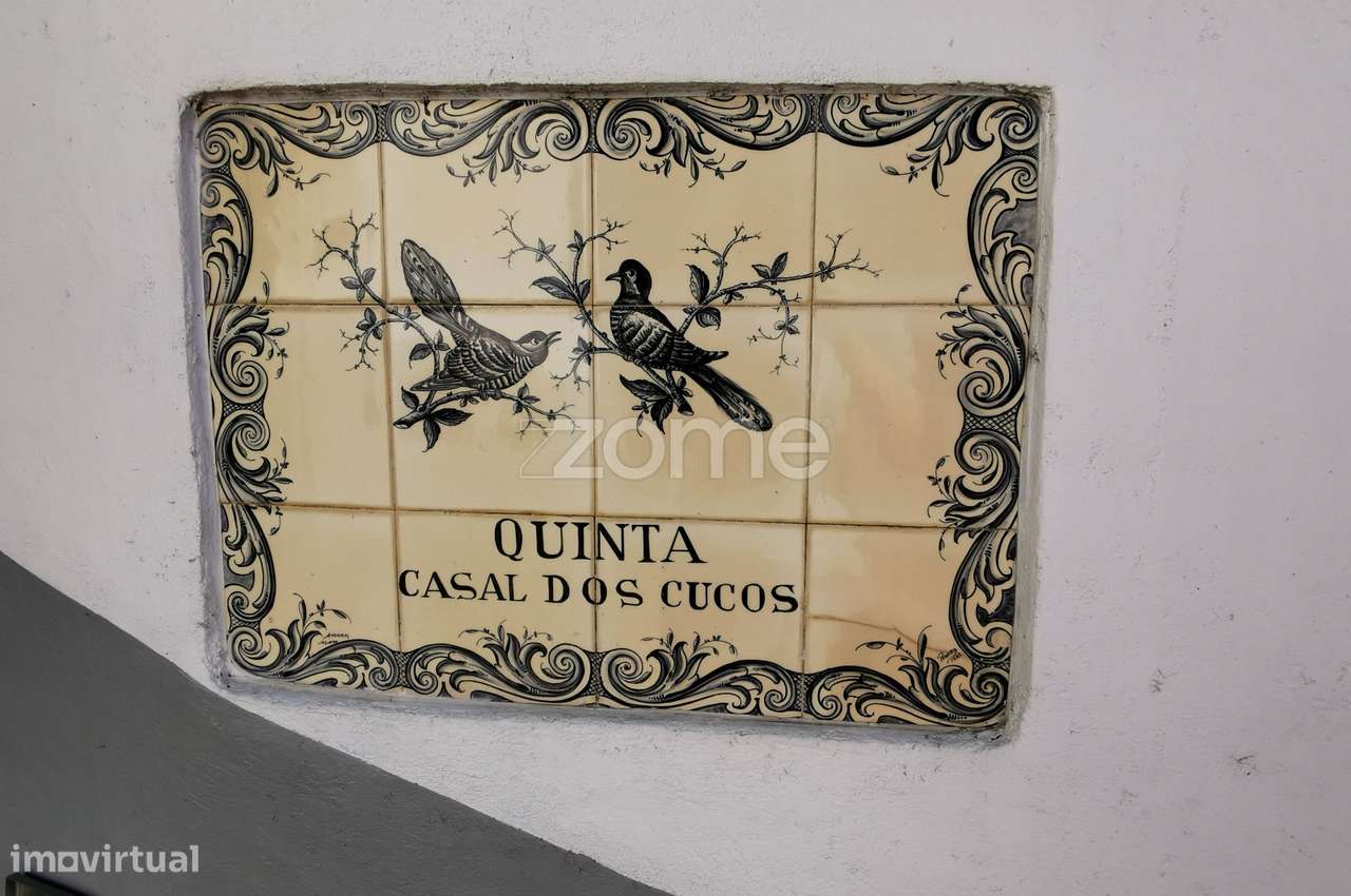 Quinta Kiwis, 1,7ha, 2 casas, piscina, Estrada Real, Águeda, Aveiro - Grande imagem: 3/60