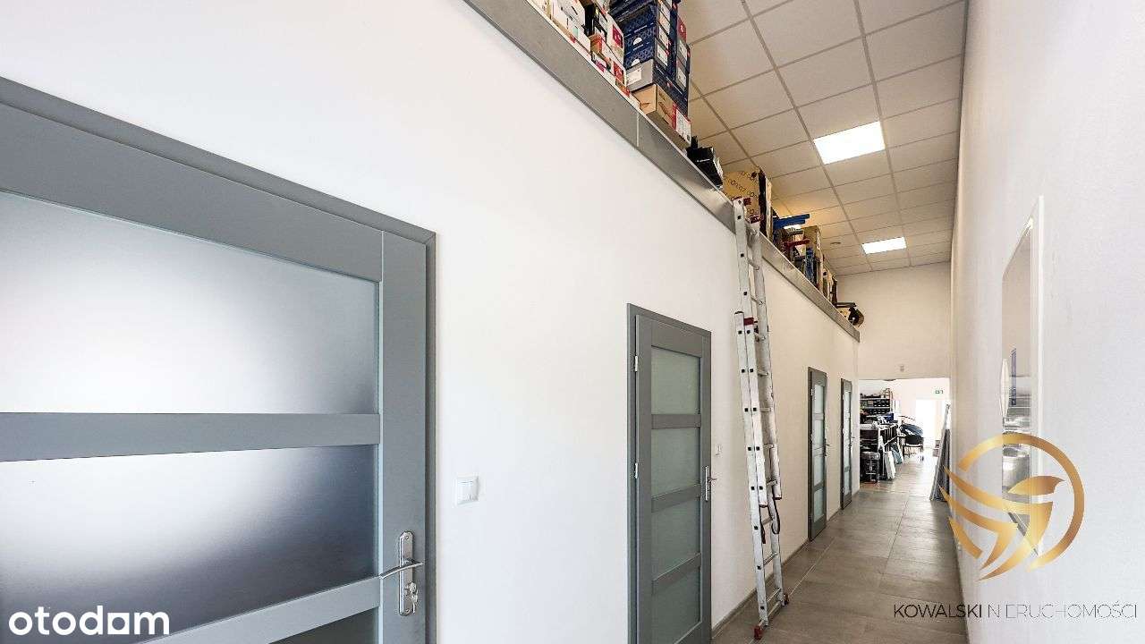 Nowy budynek użytkowy | Duża sala sprzedażowa-6