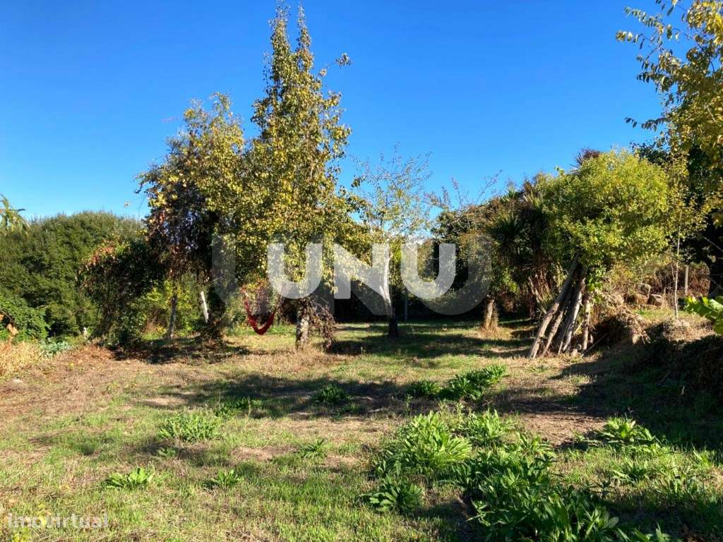 Quinta - Rodeada de Natureza-47