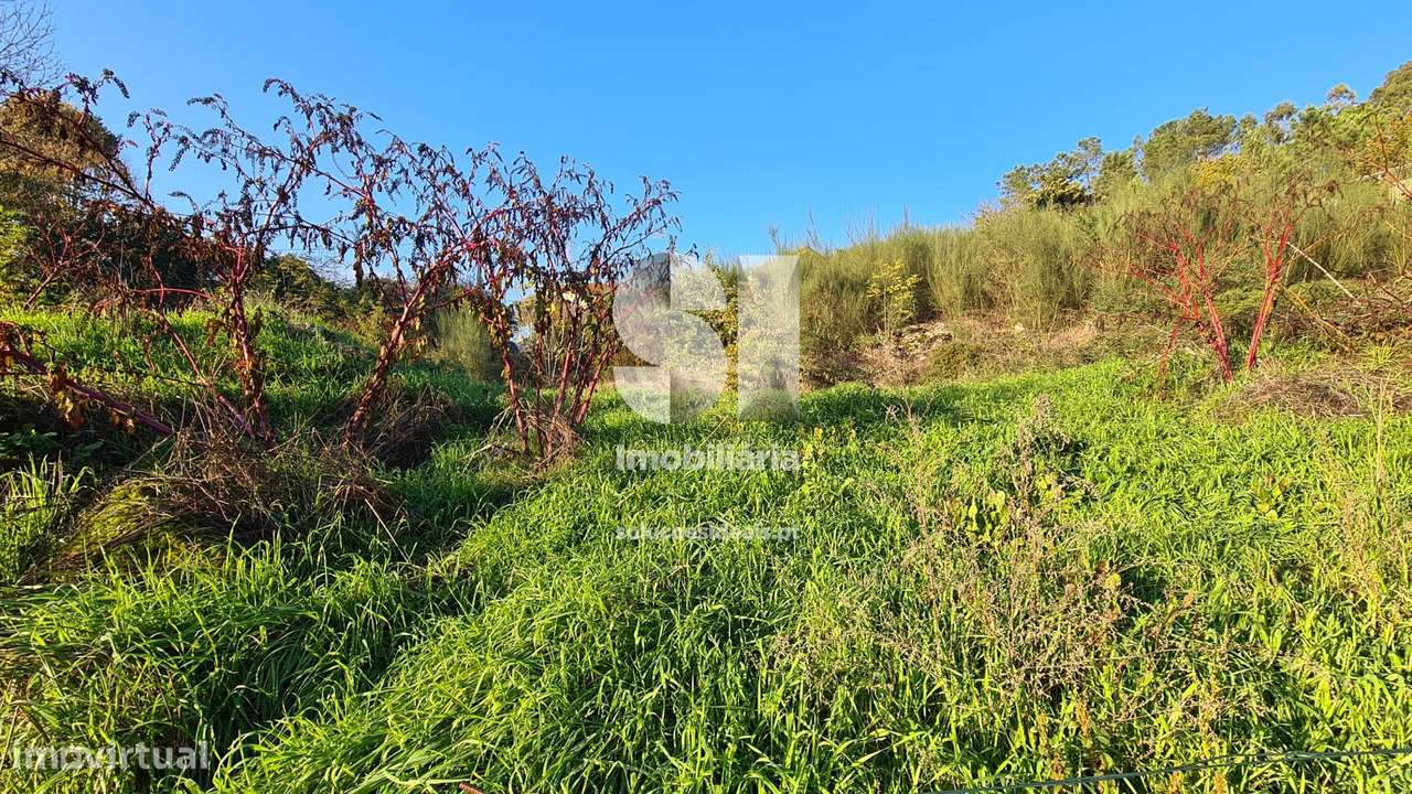 Terreno para construção - Grande imagem: 3/15