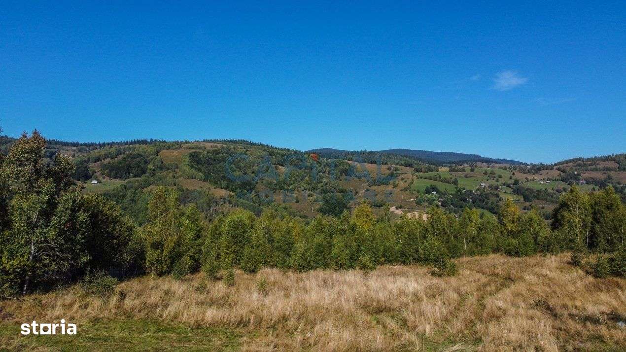 Comision 0% teren intravilan 1000 mp, PUZ, priveliste, Baisoara - Imagine principală: 2/13