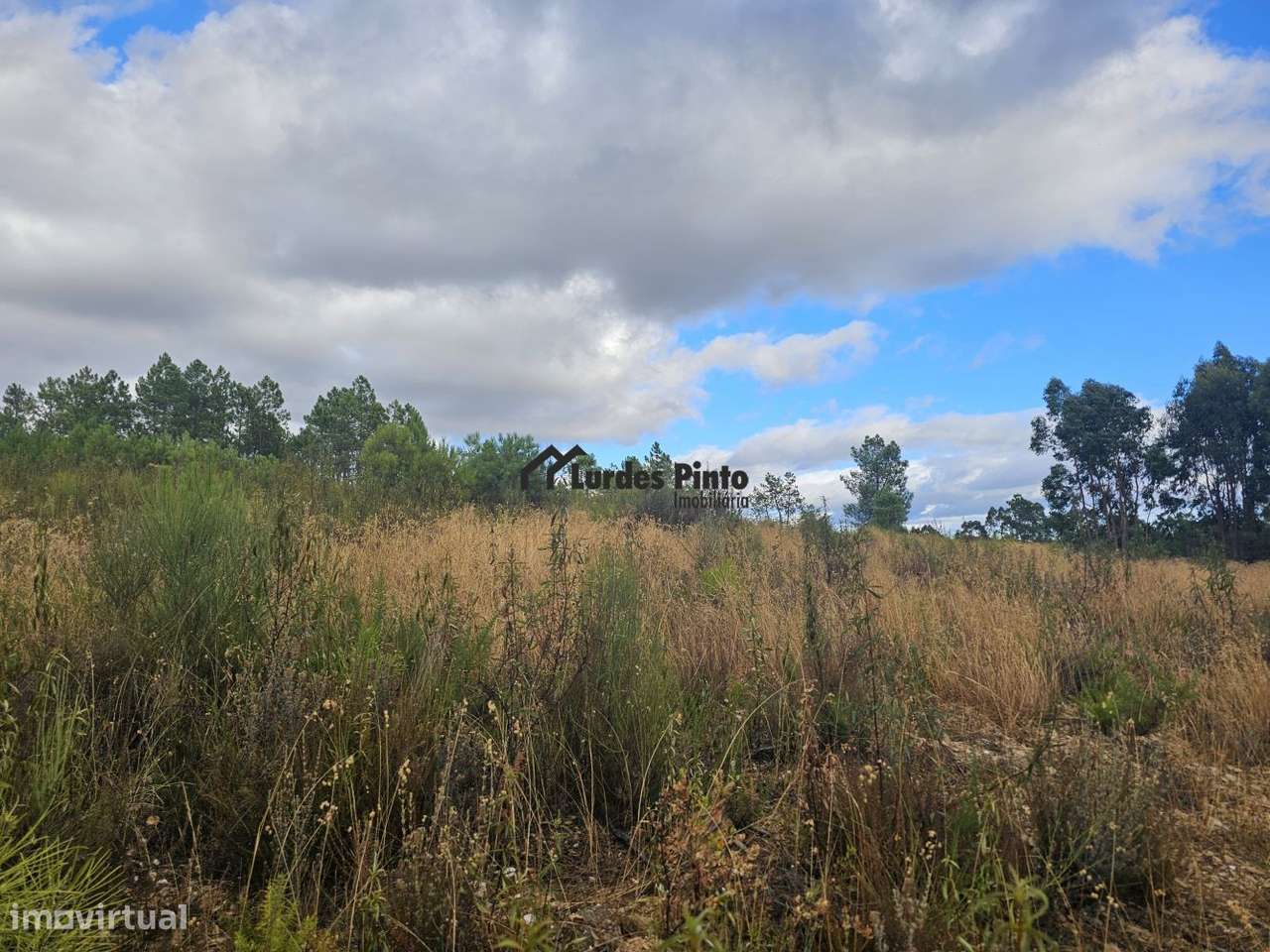 Terreno com 7.500m2-6