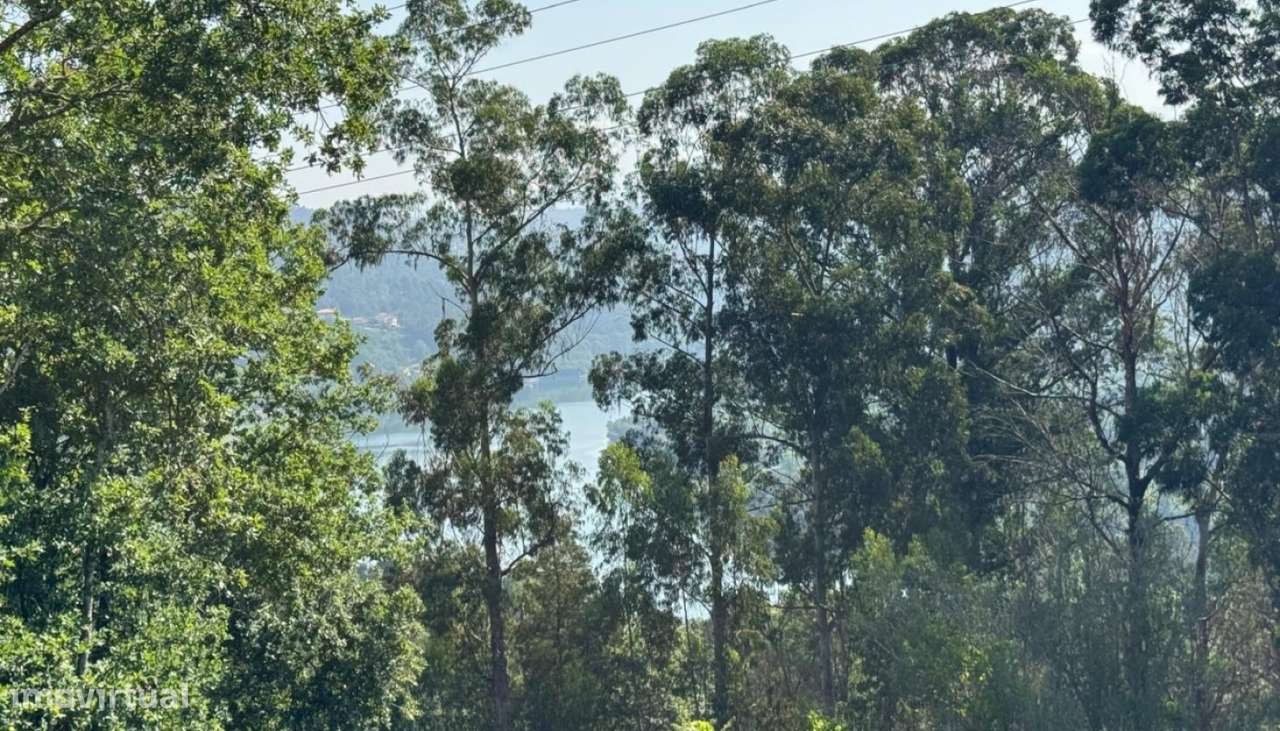Venda Terreno, Boelhe, Penafiel-4