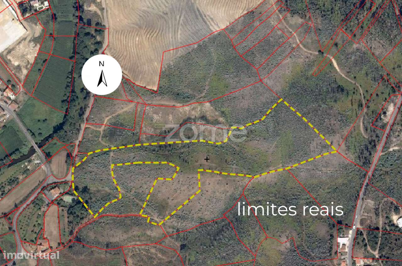 Casal - Terreno de uso Silvícola e Agrícola c/ 44.077 m², em Sobrei... - Grande imagem: 4/15