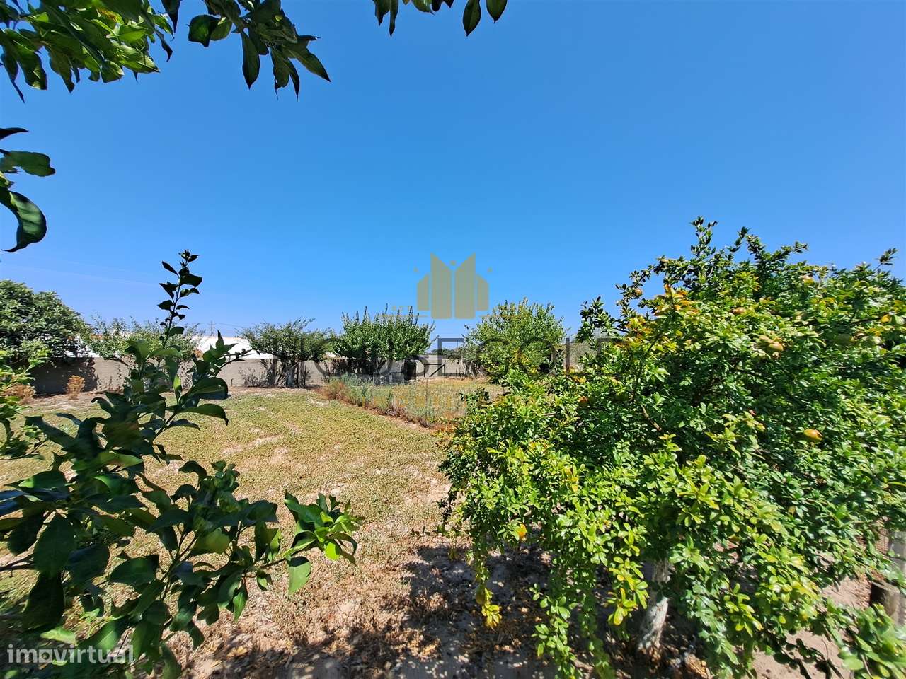 Moradia T3 em Marinhais (MR-227)-48