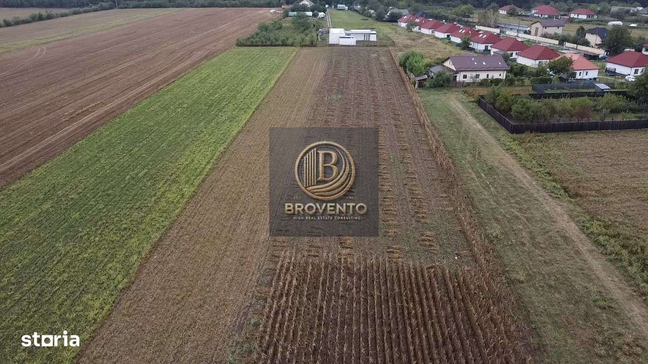 Teren Moara Vlasiei / Strada Cantonului - Padure - Imagine principală: 1/7