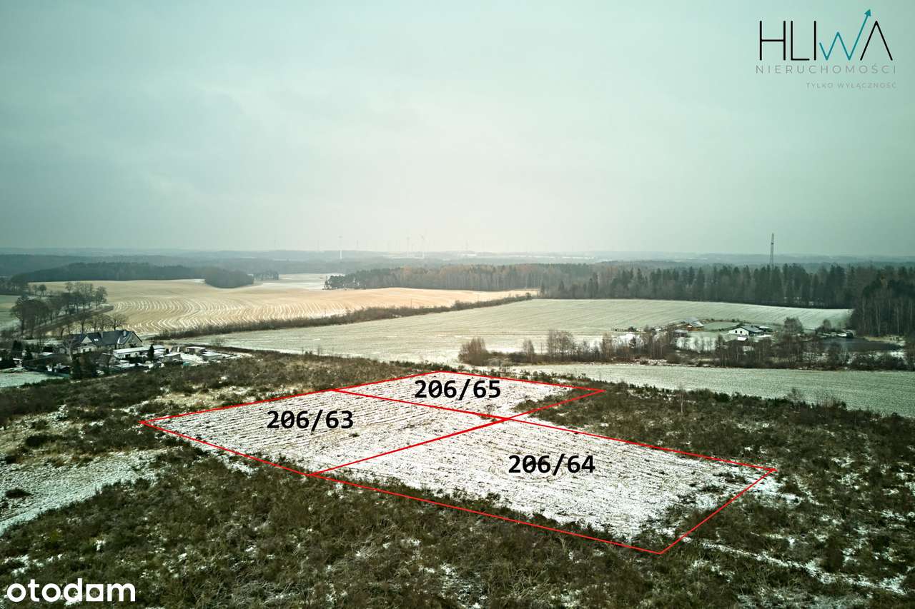 Działka zagrodowa Mierzyno gm. Gniewino 3011 m2-5