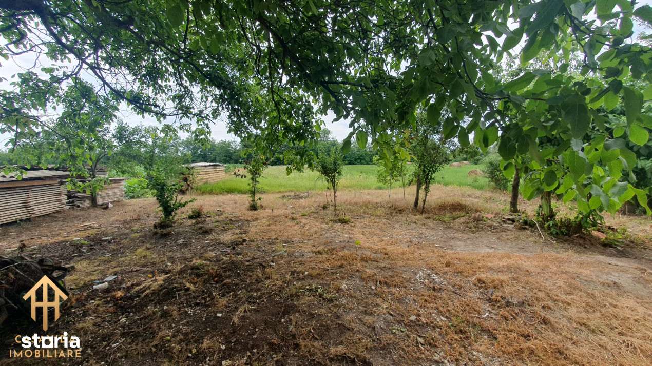 Casa de vanzare in Chizatau - Imagine principală: 4/9