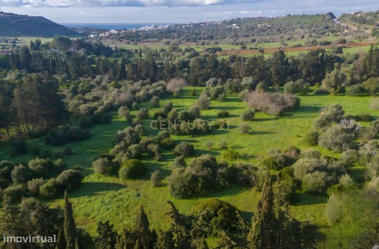 Quinta em Lagos, Praia da Luz,  46.000 m2, 2 casas e 2 Armazéns-28