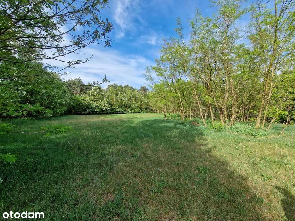 Nieruchomość idealna na inwestycję - agroturystykę-3