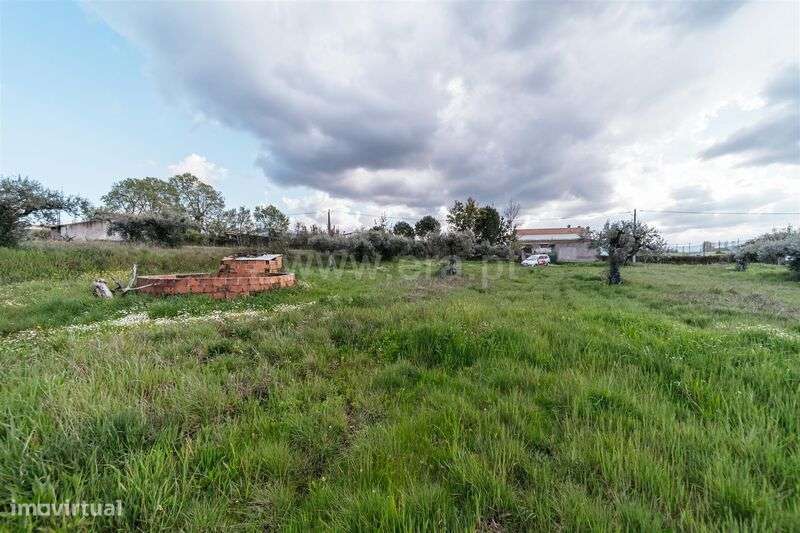 Terreno Rústico / Fundão, Aldeia Nova - Grande imagem: 4/11