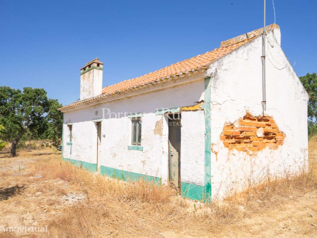 Quinta de 20ha com projeto para Turismo Rural a 1h de Lisboa-20