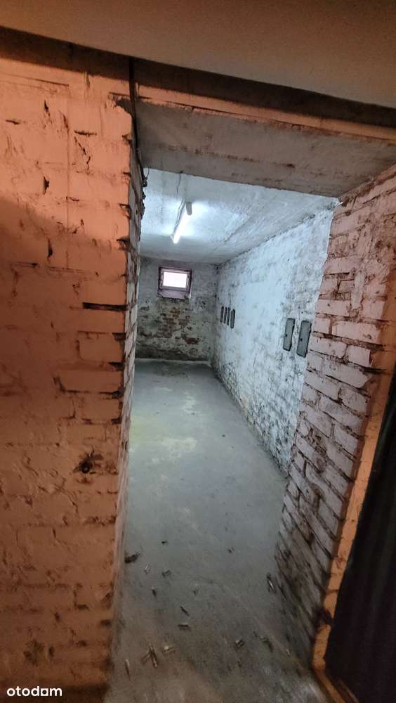 Ciche mieszkanie w centrum gdyni - Pełny obrazek: 5/20