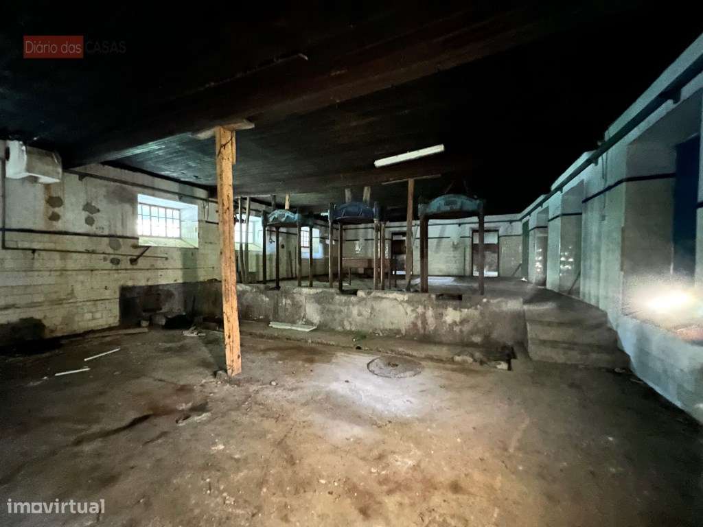 Lagar em Coimbra - Torres do Mondego (Coimbra) Portugal-25