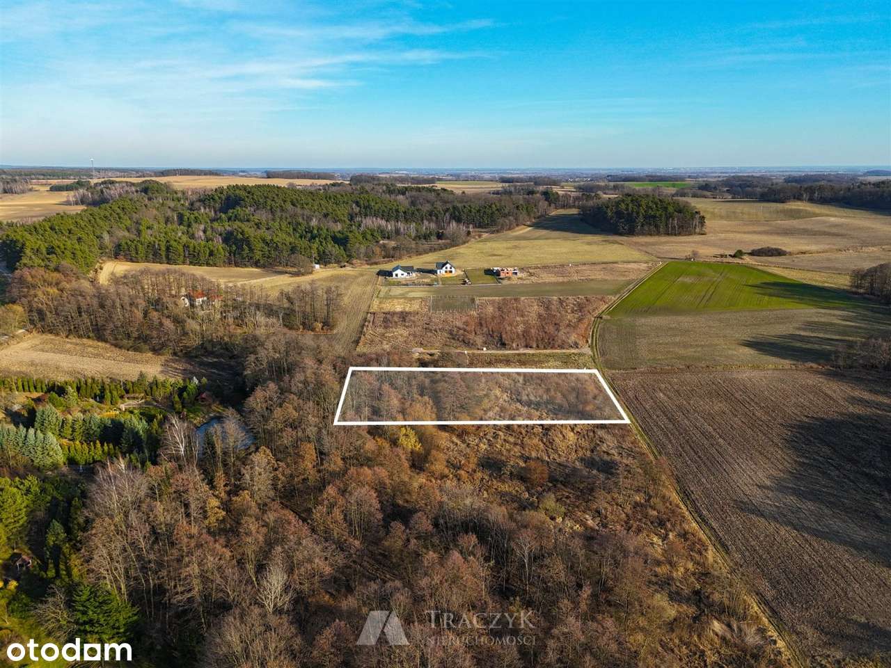 z własnym lasem,prąd,noweosiedle,Zawonia4min - Pełny obrazek: 4/13