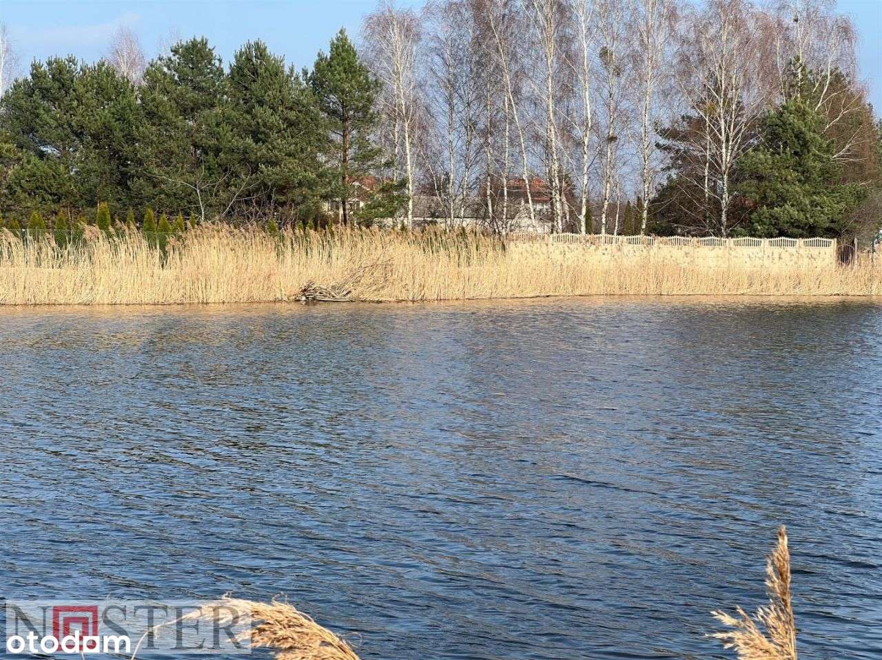 Wilanów - działka nad jeziorem-4