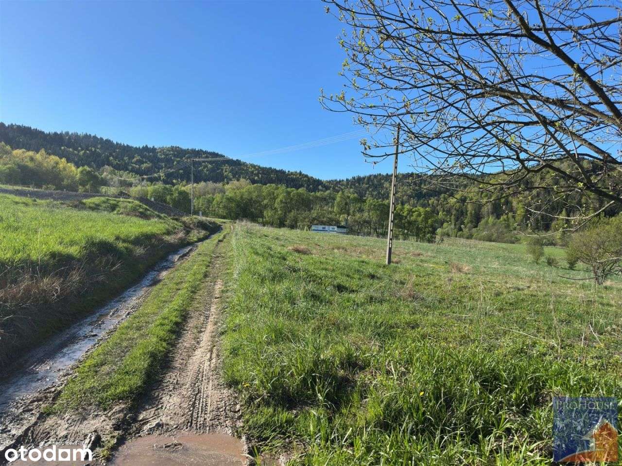 Działka, 2 000 m², Zbludza - Pełny obrazek: 5/9