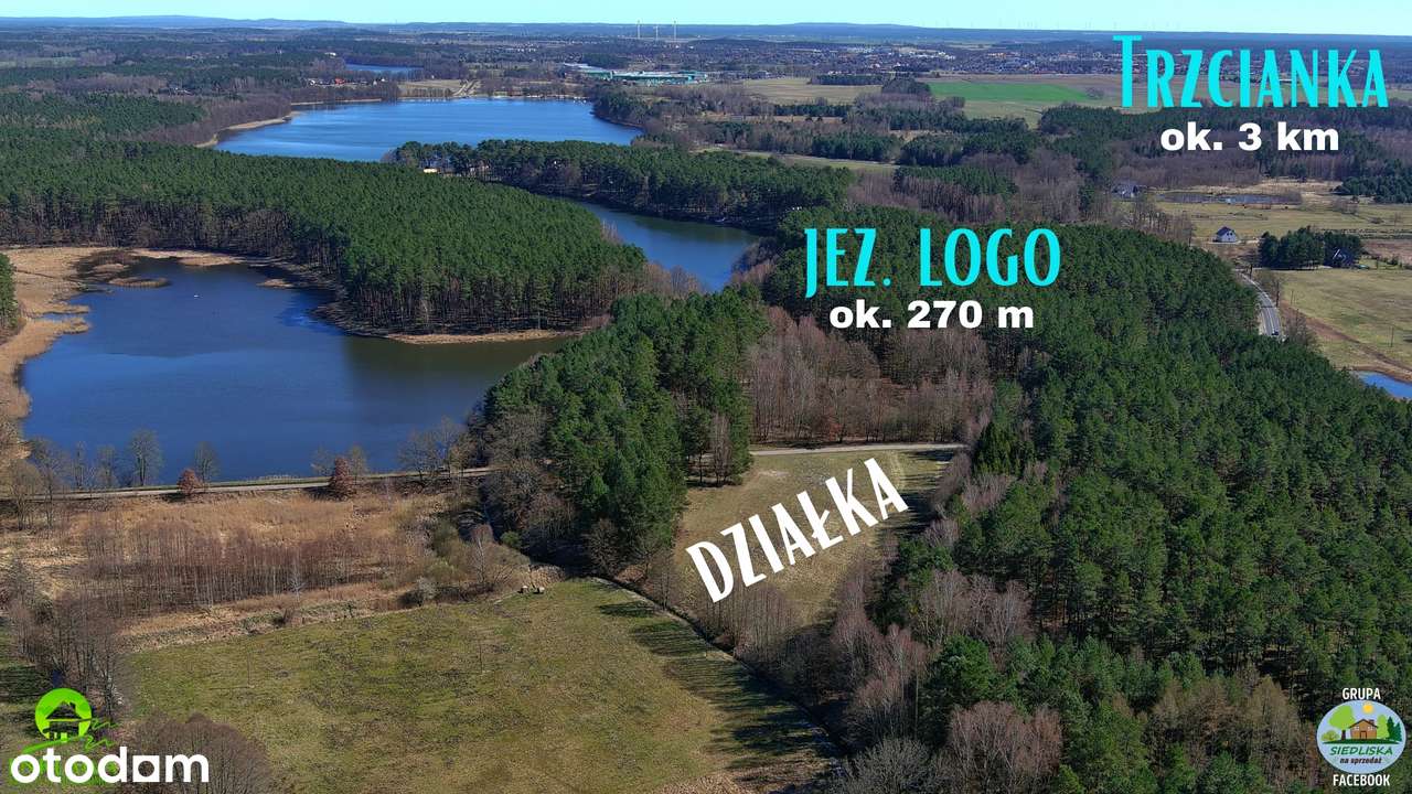 ENKLAWA prezentuje: MEGA działka pod DUŻE siedlisko! 3 km od Trzcianki - Pełny obrazek: 2/20