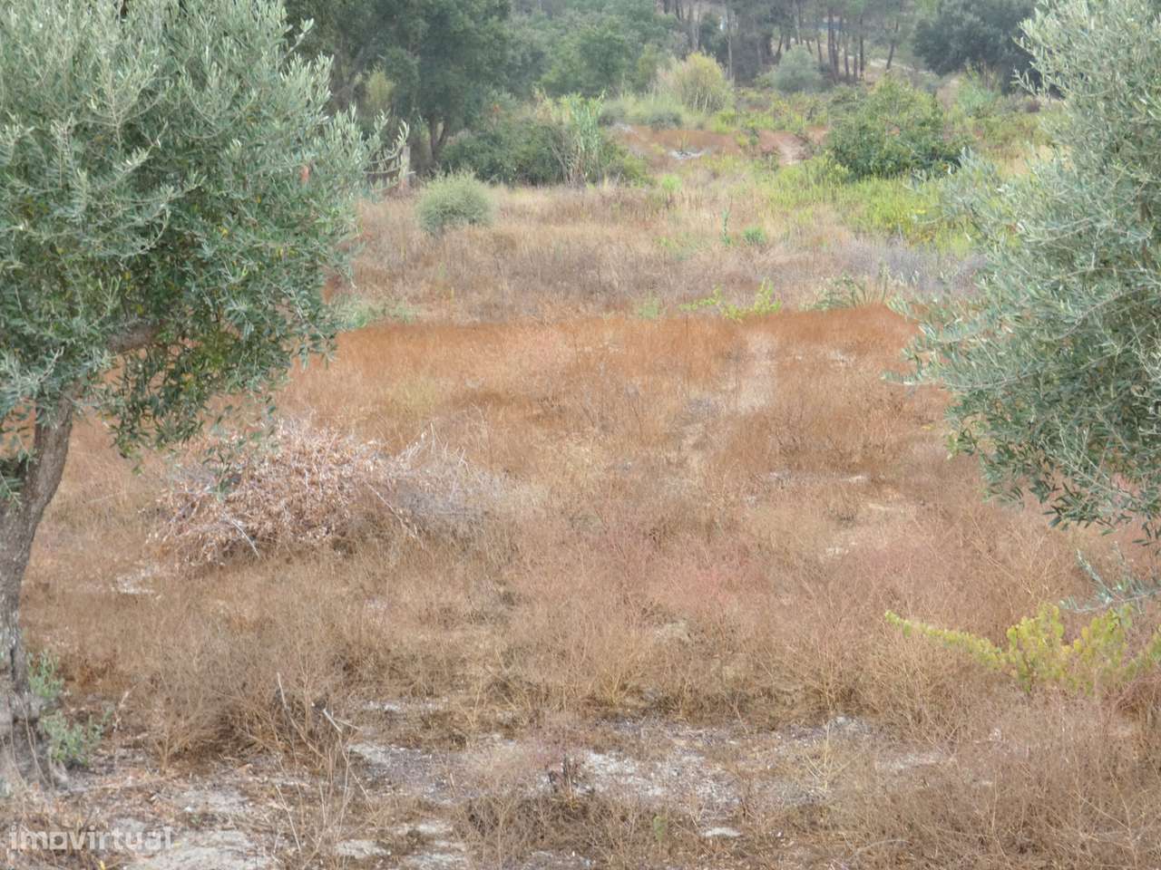 Terreno Rústico com 3.680 m² - Grande imagem: 4/7