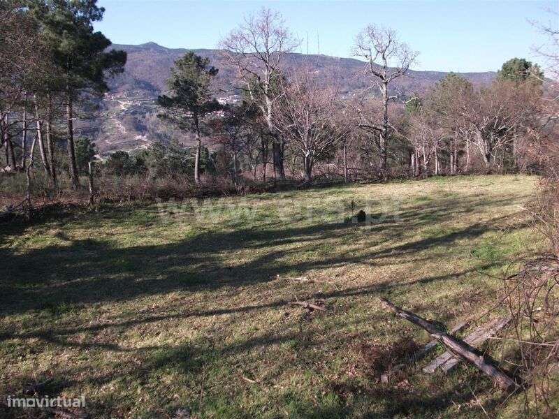 Terreno / Baião, Campelo e Ovil - Grande imagem: 5/11