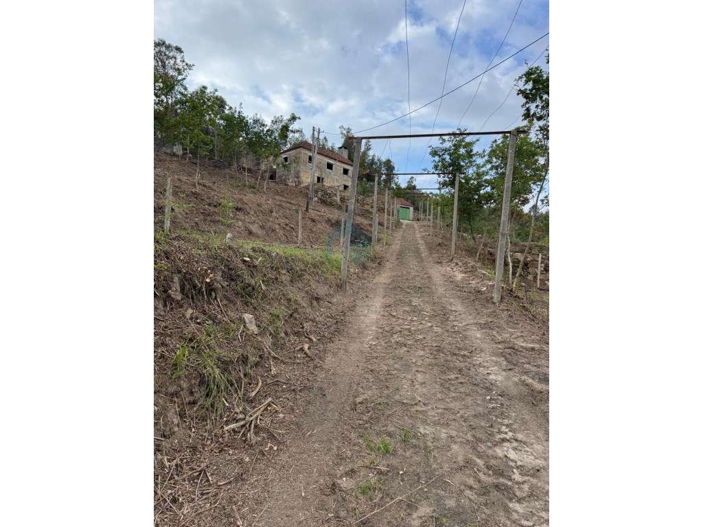 Quinta com Potencial em Marco de Canaveses-28