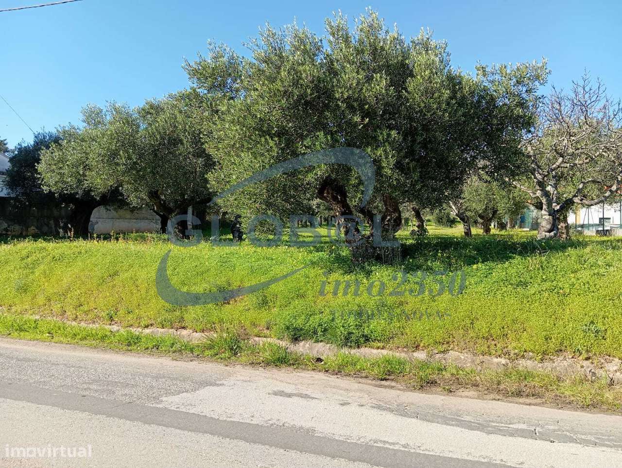 Terreno misto para construção em Alqueidão - Grande imagem: 2/9