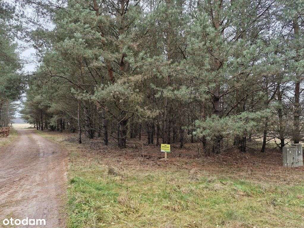 Letniskowa, Mpzp, woda i prąd, 400 M j. Chłop-0