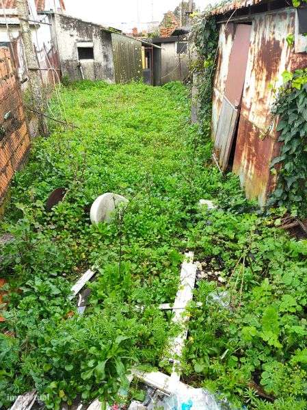 Moradia P/restauro - Grande imagem: 5/6