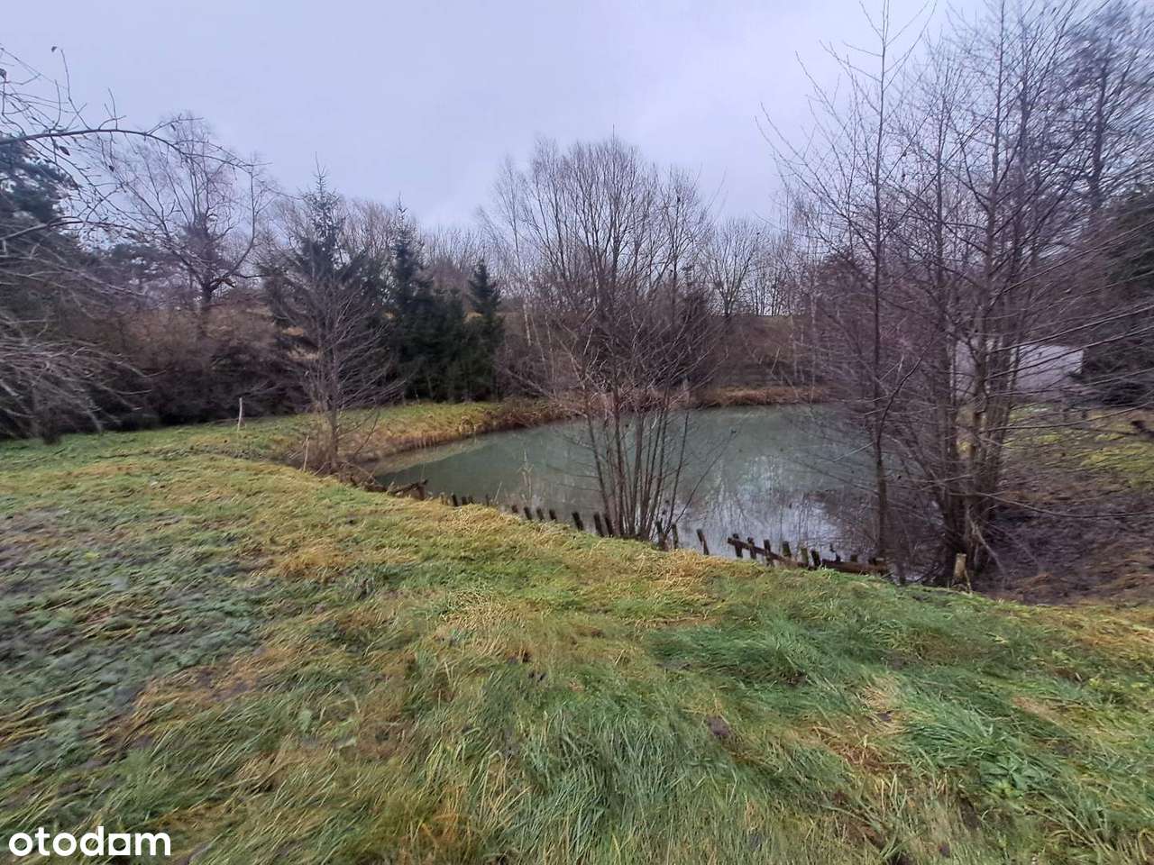 Dom, okolice Barcina, 170 m², duża działka 3000 m² i stawem rybnym-11