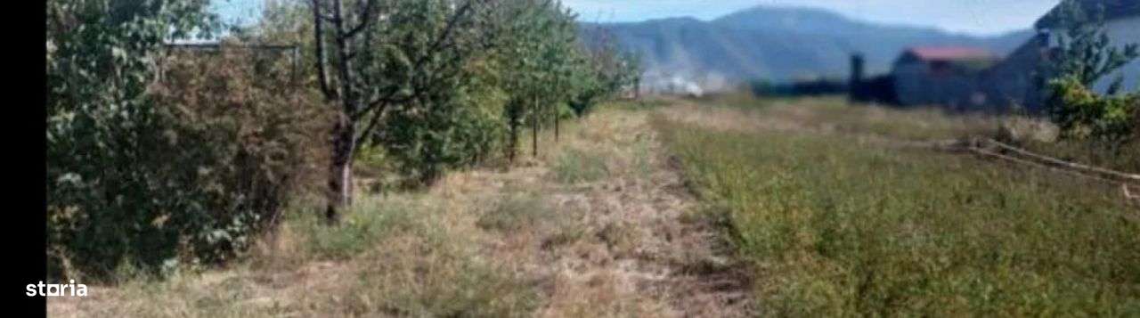 Teren 934 mp Ghimbav - Imagine principală: 4/6