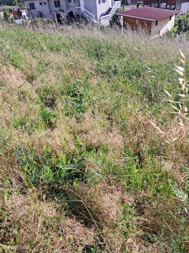 Terreno Espetacular em Amarante - 602m² por 53.000€ - Grande imagem: 5/11