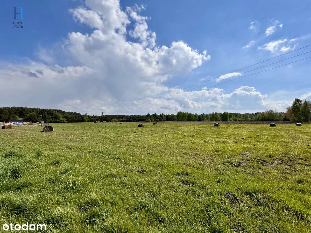 Twoje miejsce spokoju - Stary Adamów czeka! - Pełny obrazek: 1/10