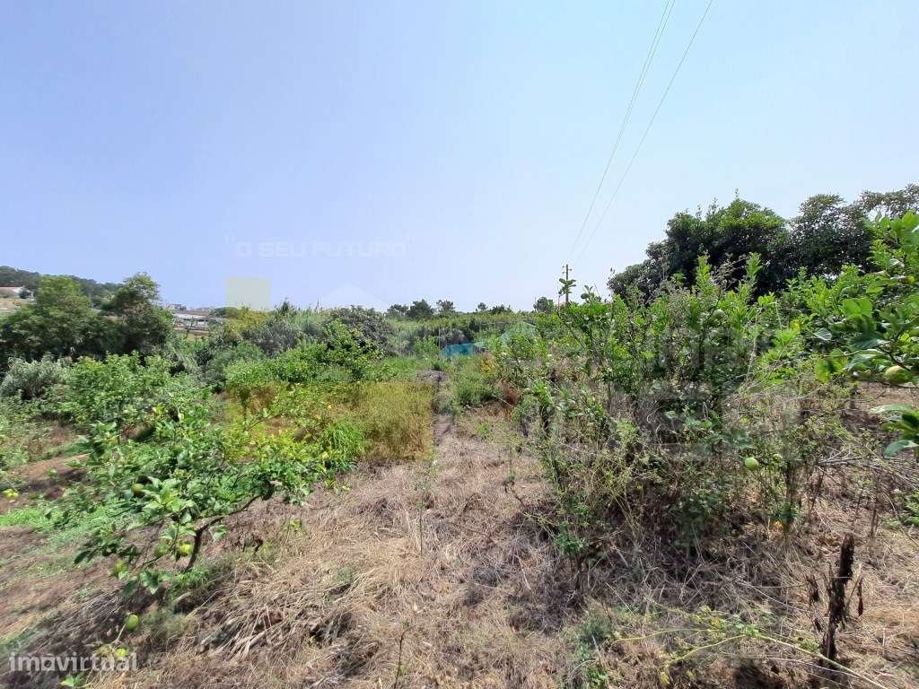 Terreno Misto em zona Urbana com 5.625m2 em Caeiro - Mafra - Grande imagem: 2/5