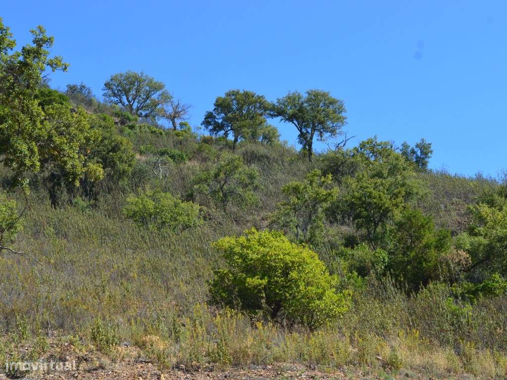 terreno Rustico, Loulé Algarve - Grande imagem: 5/18