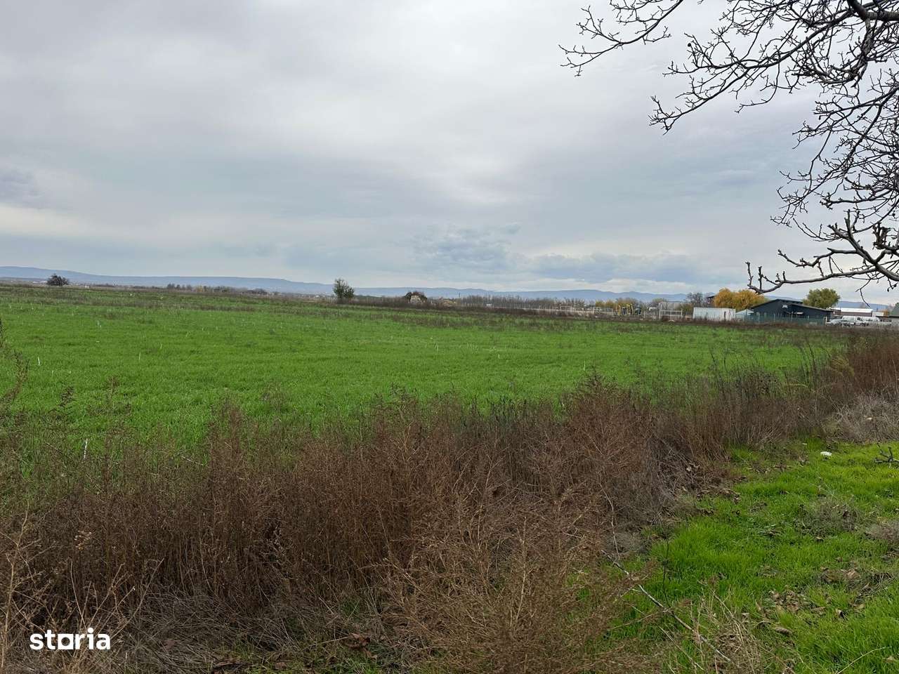Teren de vânzare 55000 mp, utilități disponibile - Imagine principală: 2/4