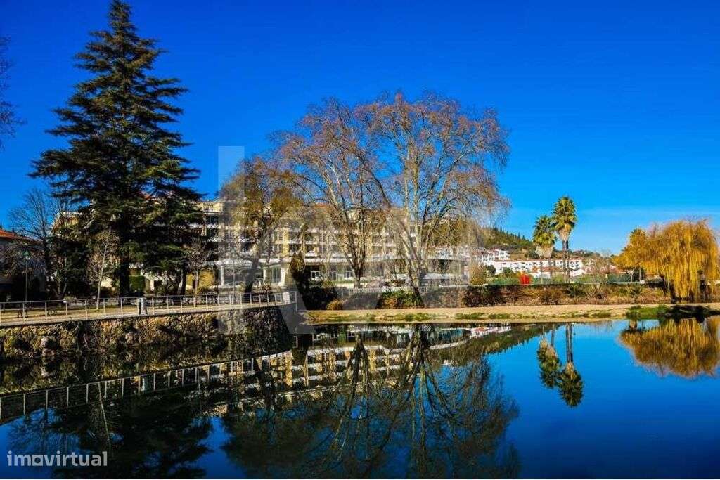 Terreno 13360 m2 - Venda  Fontinha  Casais e Alviobeira -Tomar - Santa - Grande imagem: 4/25