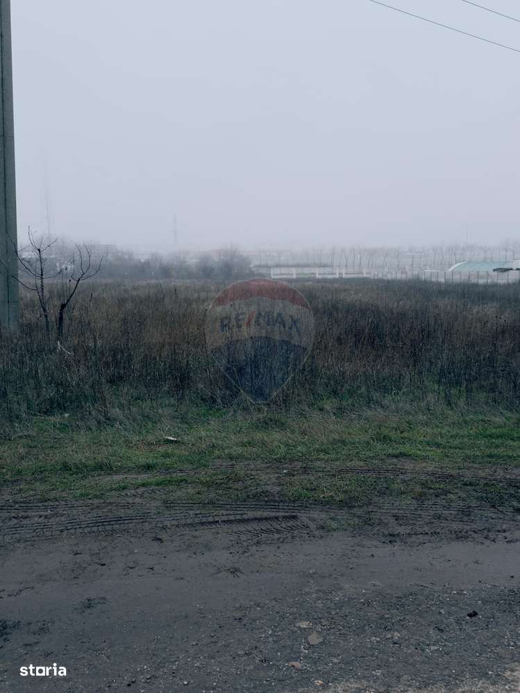 Teren 5,000mp Caracal, parcelabil, zona in dezvoltare - Imagine principală: 5/8