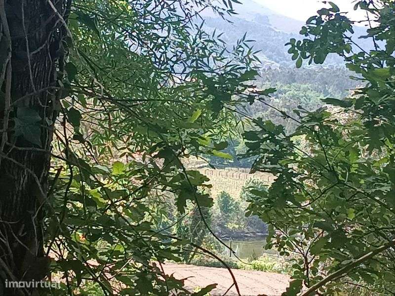 Terreno para Construção em Jolda (São Paio) – Arcos de Valdevez - Grande imagem: 2/6
