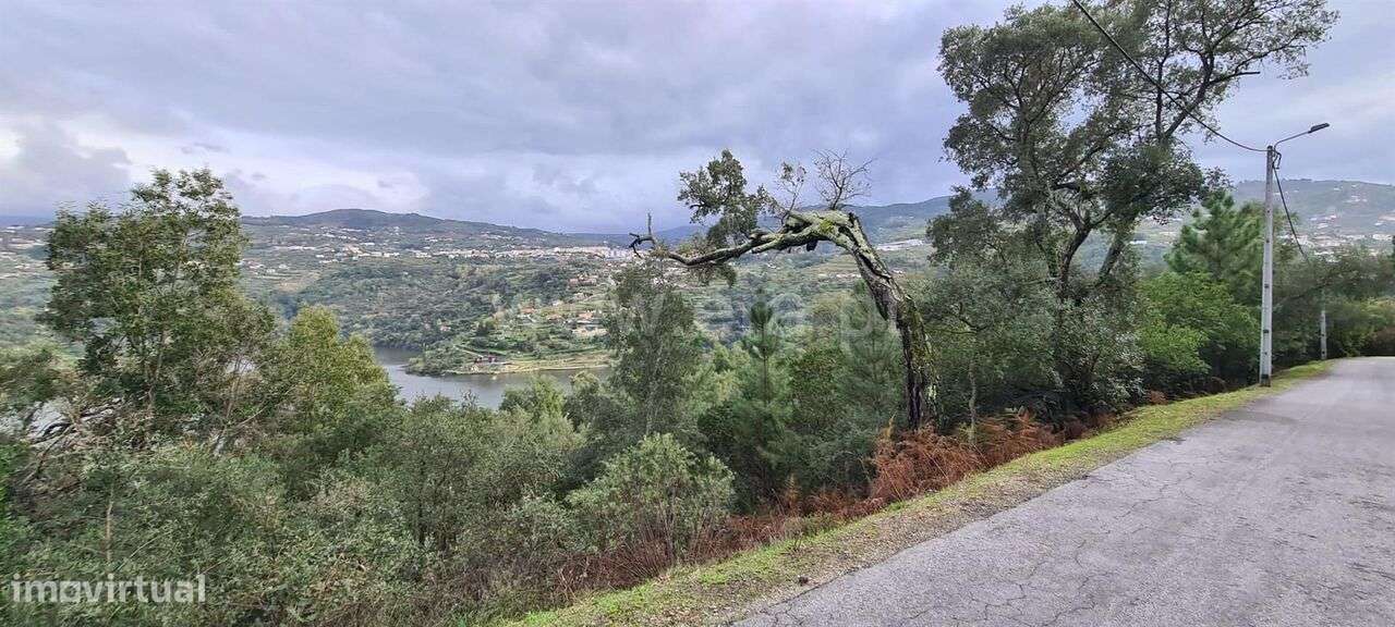 Quinta / Baião, Rio Douro - Grande imagem: 4/6