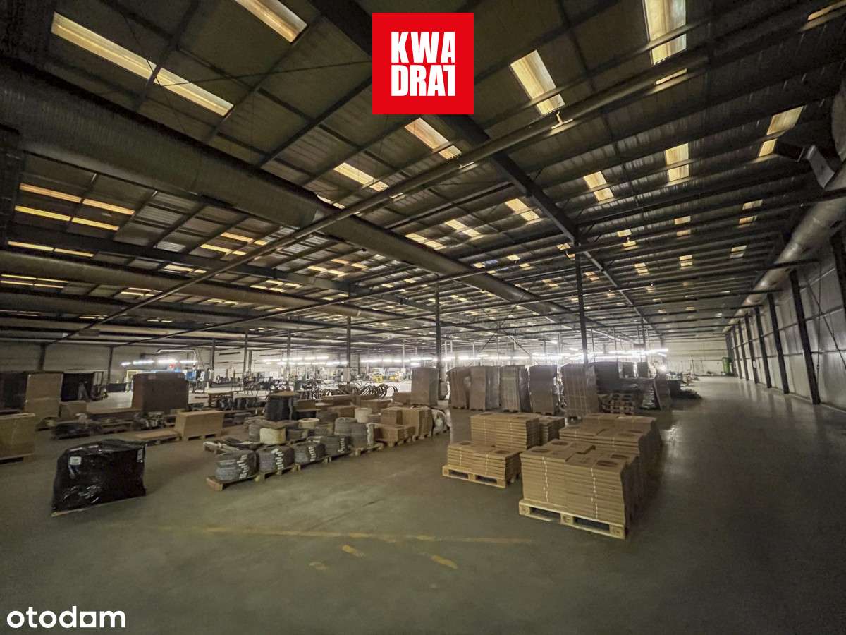 Investment Opportunity: Premium Industrial Complex-11