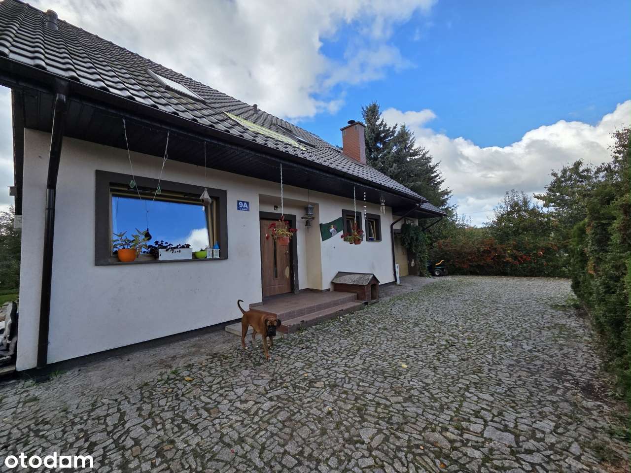 Dom z oranżerią i widokiem na staw – Recz, ul. Srebrna - Pełny obrazek: 4/20