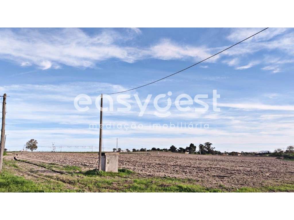 Terreno Rústico Localizado na Carregueira em Pinhal Novo - Grande imagem: 3/15