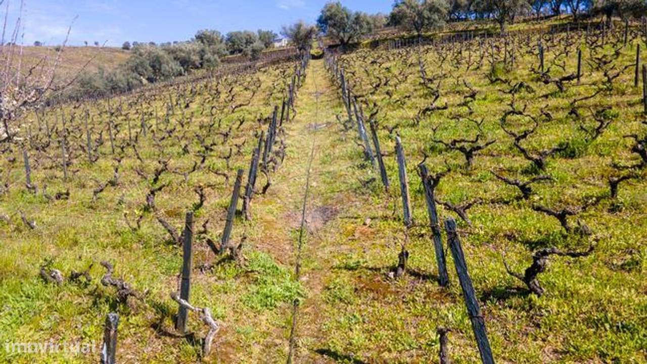 Terreno  para venda - Grande imagem: 4/9