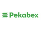 Pekabex Inwestycje VIII Logo