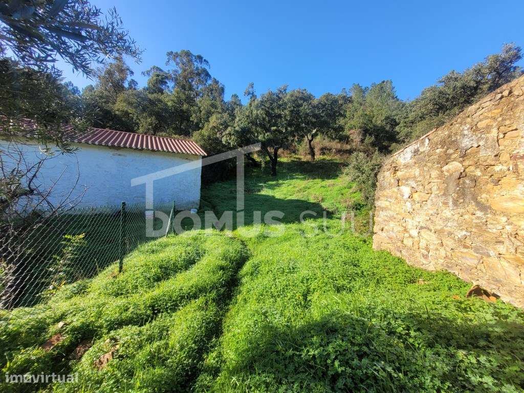 Moradia Térrea mais armazém a 15 min da Vila De São Brás - Grande imagem: 4/17